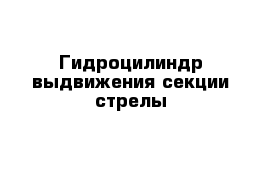  Гидроцилиндр выдвижения секции стрелы